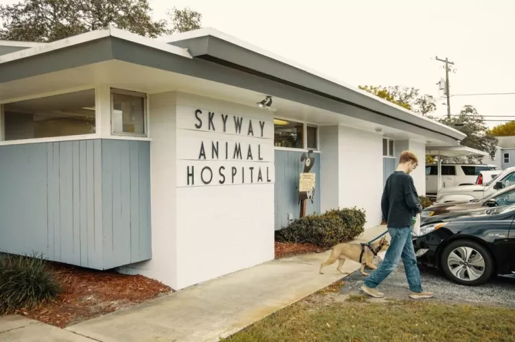 Skyway Animal Hospital, Florida, Saint Petersburg